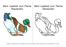 Titelseite-Stockente-1.pdf